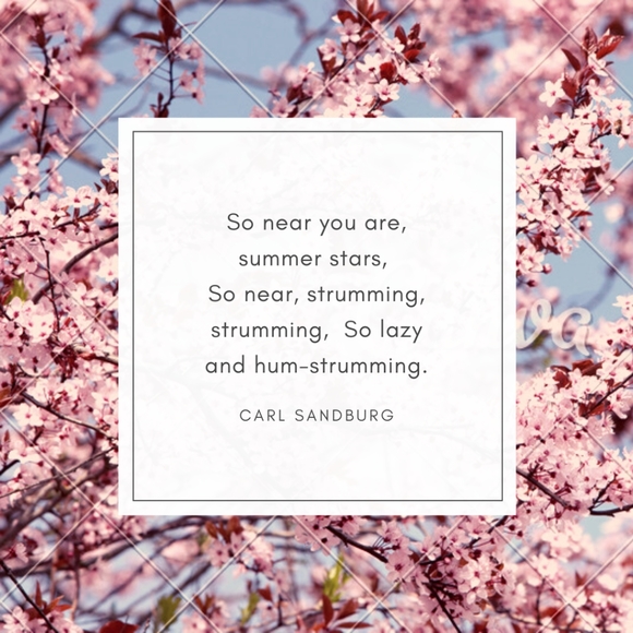 Sale *No item that has a listing stating :Sales don't apply 😉 - Picture 14 of 16